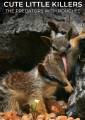Cute Little Killers: The Predators With Pouches