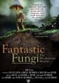 Fantastic Fungi