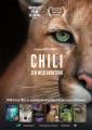 Chili: Een Wild Avontuur