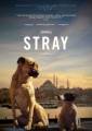 Stray