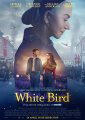 White Bird