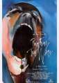 Pink Floyd The Wall