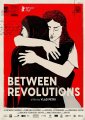 Between Revolutions