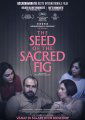 The Seed of the Sacred Fig
