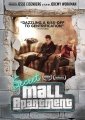 Secret Mall Apartment