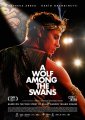 A Wolf Among The Swans