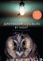 Amsterdam Wildlife by Night