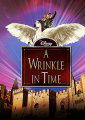 A Wrinkle in Time