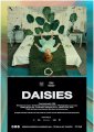Daisies