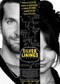 Silver Linings Playbook