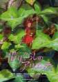 Arrietty The Borrower