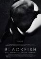 Blackfish