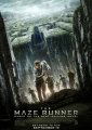 The Maze Runner