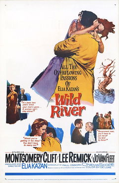Wild River (1960)