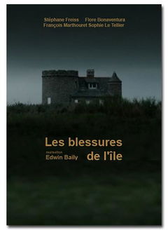 Les Blessures de l'Île (2015)