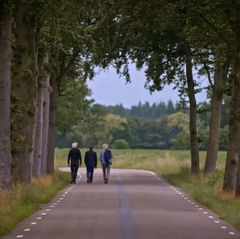 Vrienten, Kooymans en de Groot (2017)