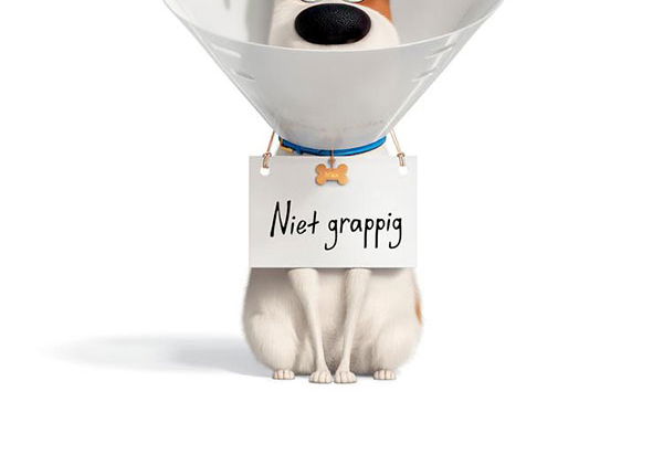 Beste Animatiefilms 2019 op SkyShowtime (januari 2026)