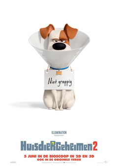 The Secret Life of Pets 2 (2019)