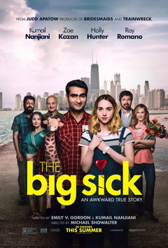 The Big Sick (2017)