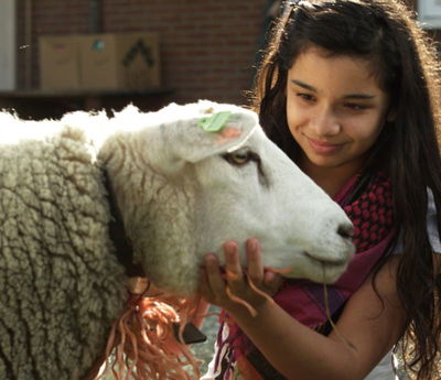 Sila de Slagersdochter