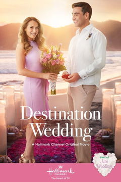 Destination Wedding (2017)