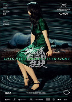 Long Day's Journey into Night (2018)