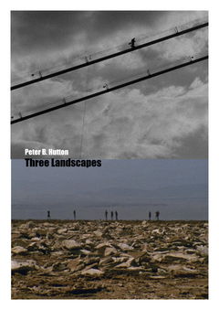 Three Landscapes (2013)