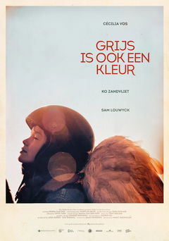 Grijs is ook een kleur (2016)