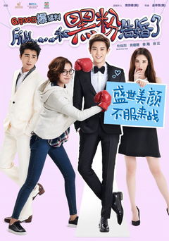 So, I Married an Anti-fan (2016)