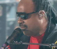 Stevie Wonder - Soul Genius (2013)