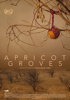 Apricot Groves (2016)