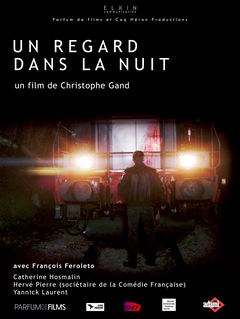 Un Regard dans la Nuit (2017)
