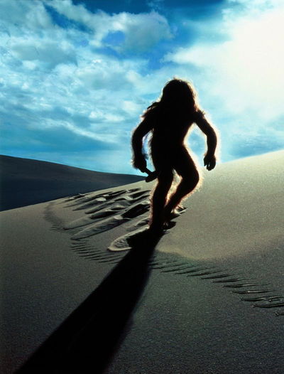 Missing Link