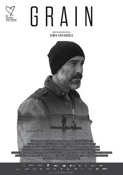 Buğday (2017)