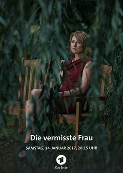 Die vermisste Frau (2016)