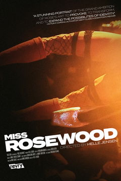 Miss Rosewood (2017)