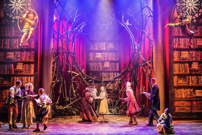 Sprookjessprokkelaar