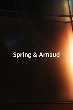 Spring & Arnaud (2013)