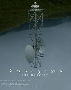 The Harvest (2019)