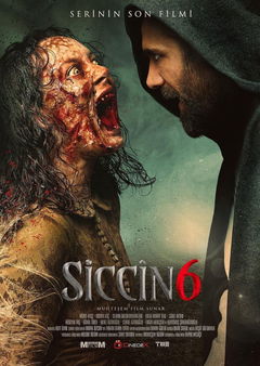 Siccin 6 (2019)