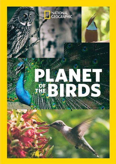 Planet of the Birds