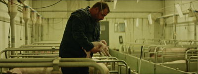 Jouw mooie Rubberbrein