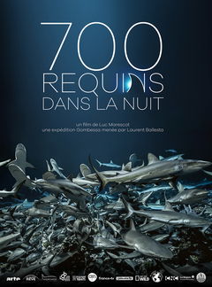 700 requins dans la nuit (2019)