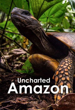Uncharted Amazon (2015)