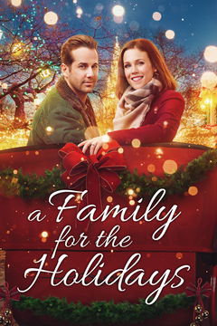 A Family For the Holidays (2017)