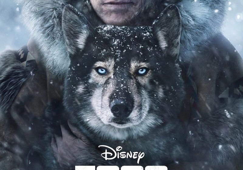 Beste Avonturenfilms 2019 (films in het genre avontuur)