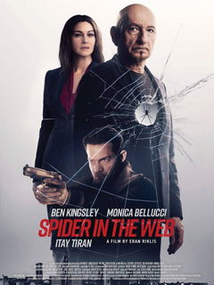 Spider in the Web (2019)