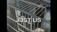 Just Us (1986)