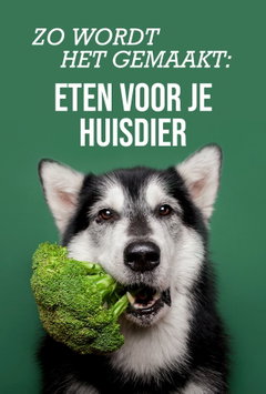 Zo Wordt Het Gemaakt: Eten Voor Je Huisdier (2019)