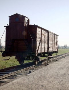 Het Geheugen van Auschwitz (2019)